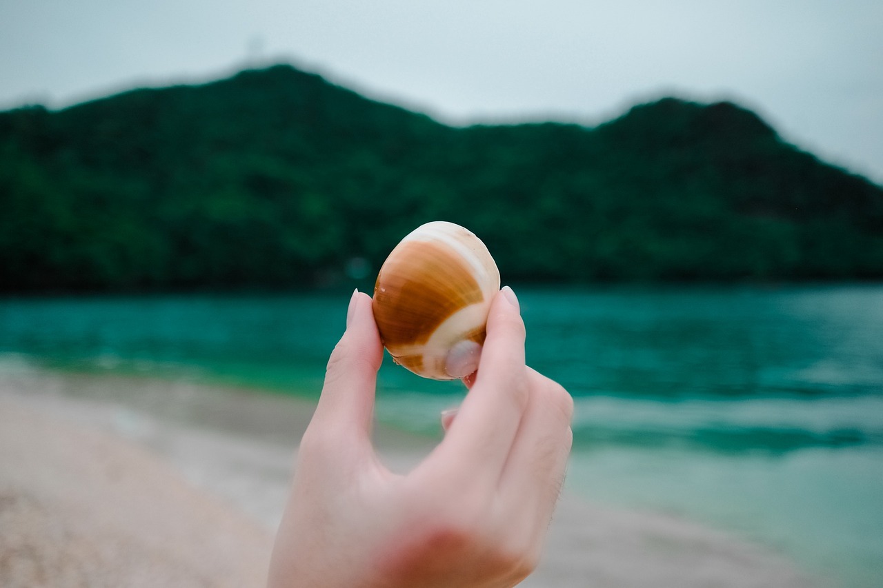 巴黎奥运彩排揭秘，白床单舞动天际