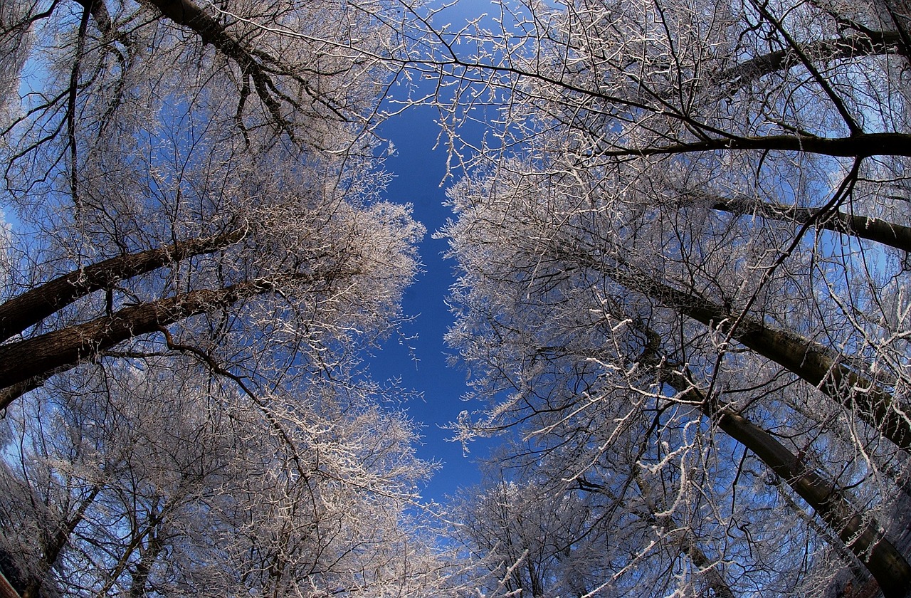 漠河雪舞，中国最北城市的冬日奇景