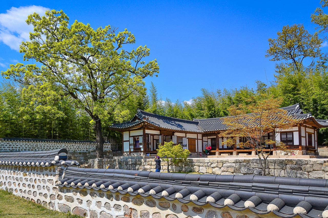 韩国高丽大学，艺术与学术的交汇点