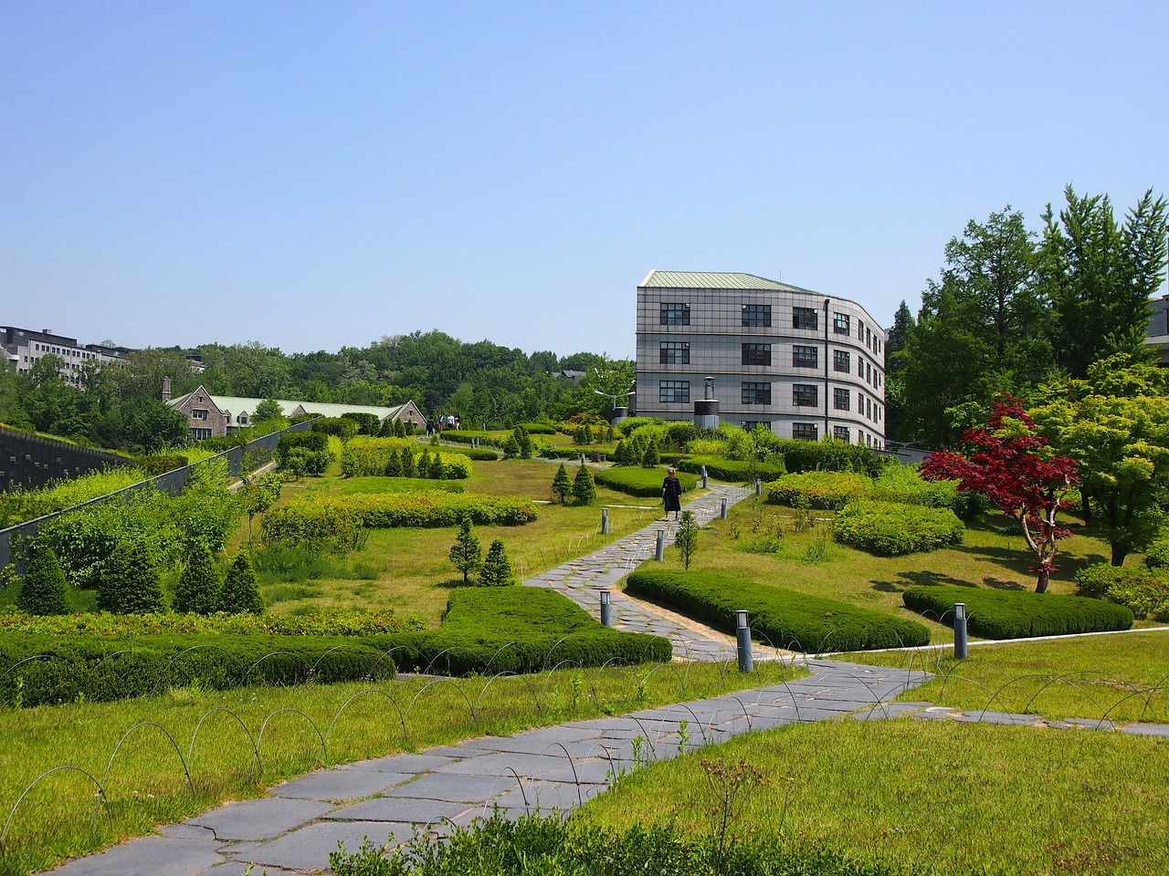 韩国高丽大学，艺术与学术的交汇点